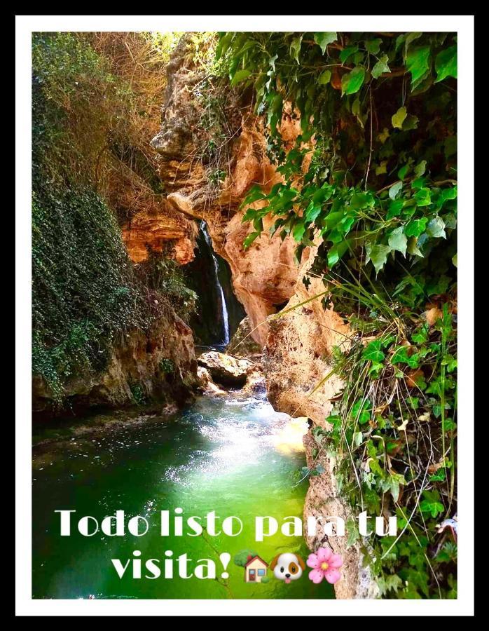 Apartamento Rural La Cascada De Calmarza Екстер'єр фото