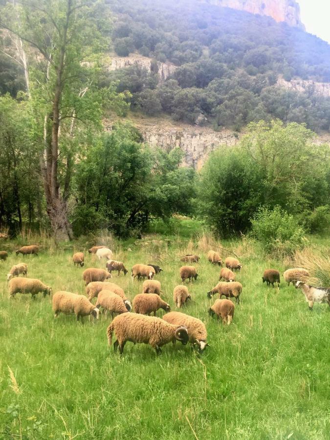Apartamento Rural La Cascada De Calmarza Екстер'єр фото