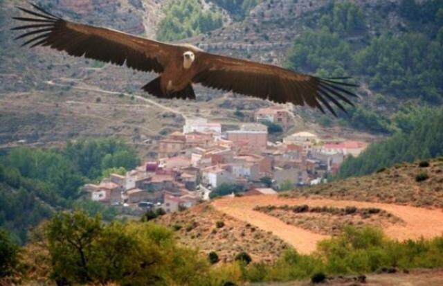 Apartamento Rural La Cascada De Calmarza Екстер'єр фото