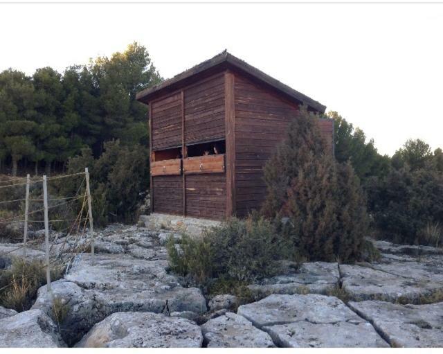 Apartamento Rural La Cascada De Calmarza Екстер'єр фото